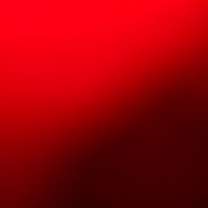 Meet your Posher, Noel